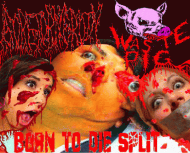 Goretorngroin : Born to Die Split